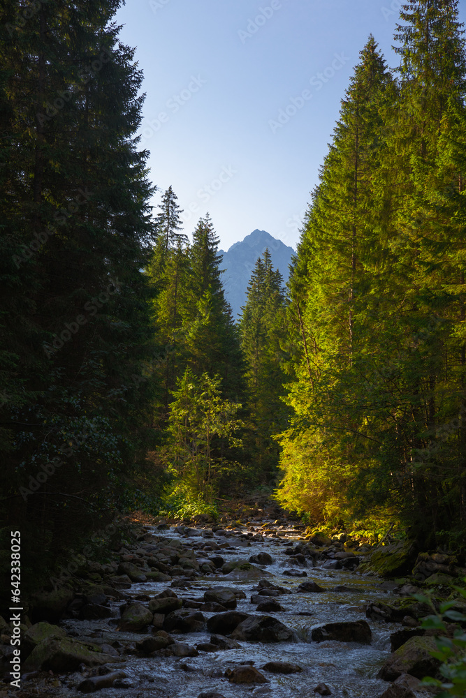 Obraz premium The Biała Woda Valley in the High Tatras captured during a summer morning.