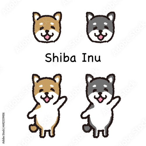 2本足で立つ笑顔の柴犬 顔と全身セット