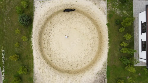 Top view of a person trains a black horse on a leash which runs in circles on the sand in the paddock
