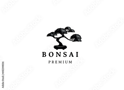 Vintage Bonsai Tree Logo Design Inspiration. Vector illustration of aesthetic bonsai and potted plants. Bonsai tree from chinese and japanese culture brand identity for Hotel retro brand logo.
