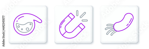 Set line Bacteria, Test tube and flask chemical and Magnet icon. Vector