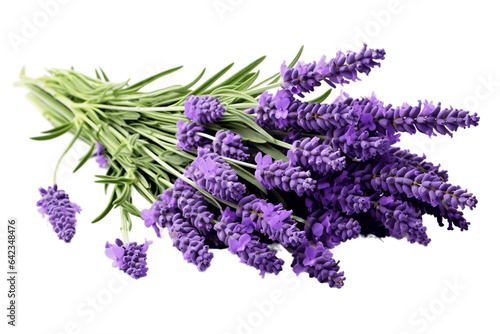 The Aromatic Delights of Lavender isolated on a white background. Generative Ai