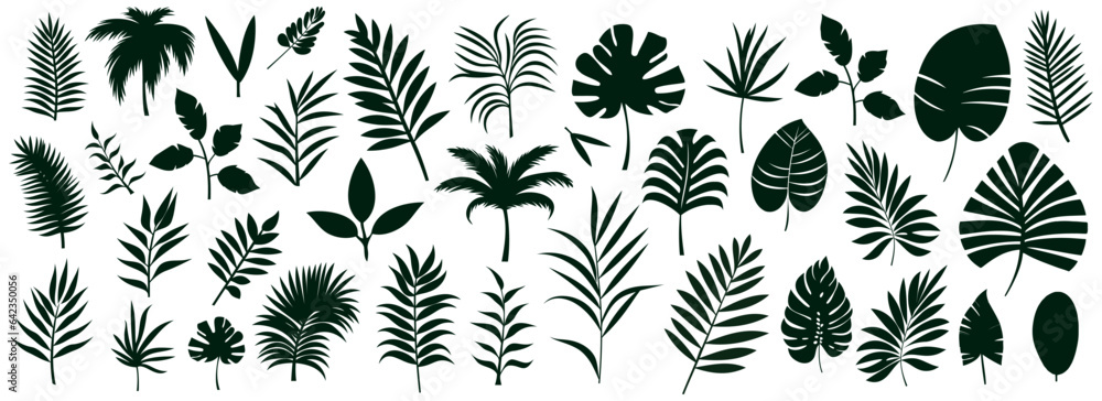 Set of silhouettes of palm leaves isolated on white background. black foliage. Vector illustration