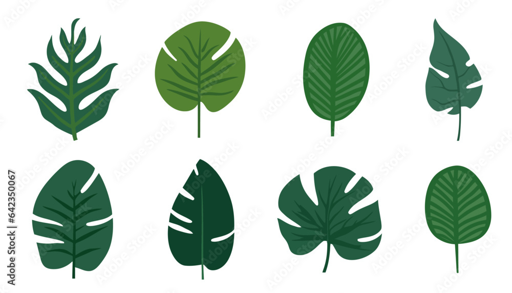 Obraz premium Collection of tropical leaves. Flat isolated elements on a white background. Vector illustration