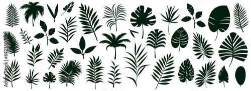 Set of silhouettes of palm leaves isolated on white background. black foliage. Vector illustration