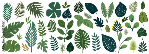 Collection of tropical leaves. Flat isolated elements on a white background. Vector illustration