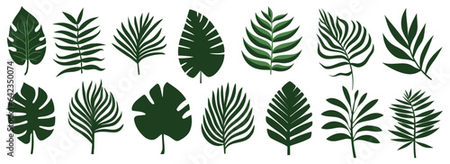 Collection of tropical leaves. Flat isolated elements on a white background. Vector illustration