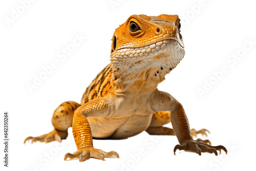 The Bearded Dragon isolated on a transparent background. Generative Ai