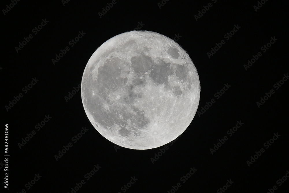 Fototapeta premium full moon