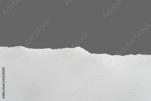 Recycled paper craft stick on a gray background. Set of paper torn on gray, White paper torn or ripped pieces of paper isolated on gray background with clipping path. © Anucha