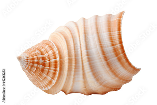 Seashell isolated on a transparent background. Generative Ai