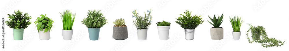 Fototapeta premium Set of artificial plants in flower pots isolated on white