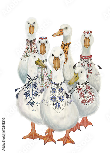 Ukrainian patriotic geese in vyshyvanka 