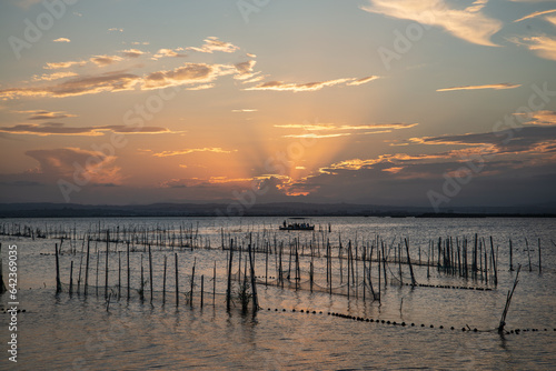 Foto albufera, valencia, el palmar