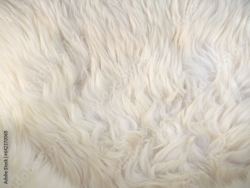 white wool fabric texture background
