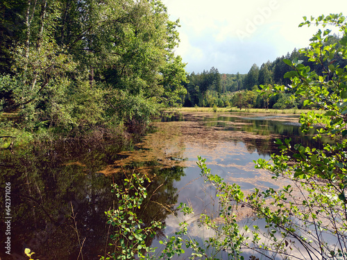 Südenwoog bei Eppenbrunn im Pfälzerwald, im Landkreis Südwestpfalz, Rheinland-Pfalz. Aussicht vom Premium-Wanderweg Grenzweg Eppenbrunn. photo