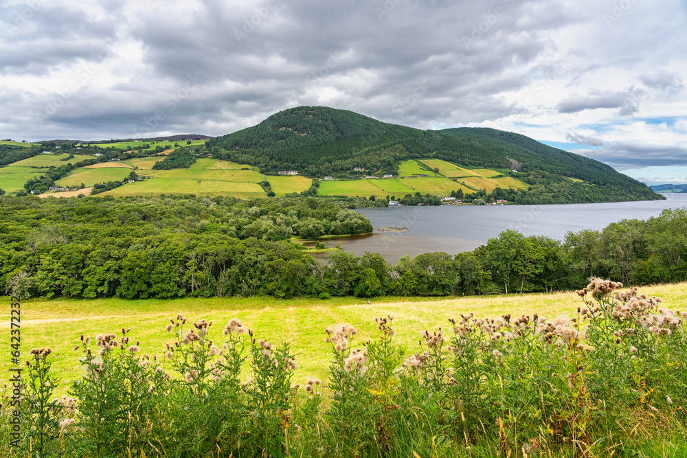 Green landscape of Loch Ness with the mountains surrounding the loch full of trees and meadows, Scotland