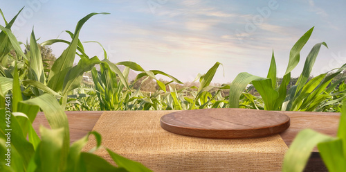 corn field and wooden table at Agriculture corn. 3D illustration, of free space for your texts and branding.