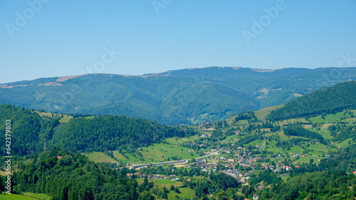 landscape with trees and mountains