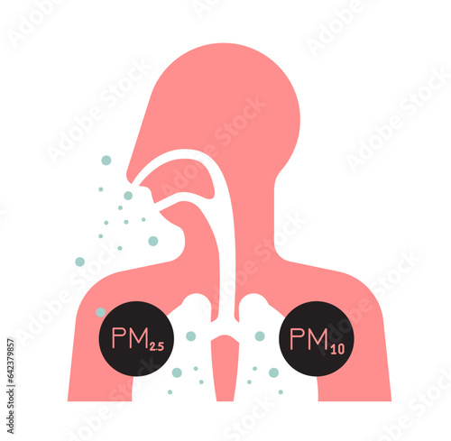 Effect of Particulate Matter PM 10 and 2.5 Pollution on Human Body - Icon