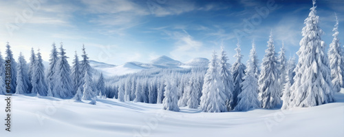 panoramic photo of the trees covered with snow in the snowland, copy space for text © Michal