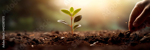 entrepreneur planting a seedling, symbolizing the growth of a startup. Generative AI