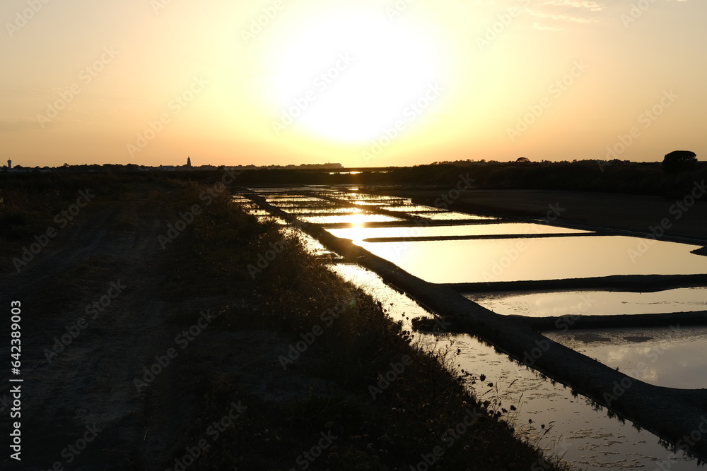 Obraz premium The Salt Marshes during dusk, Guerande, France. August 2023.