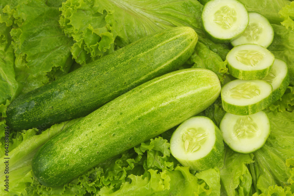 Fresh cucumbers on salad leaves background. Fresh cucumbers on salad leaves background.