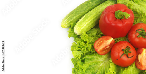 Cucumbers, pepper and tomatoes on salad leaves background isolated on white. Copy space for text. 