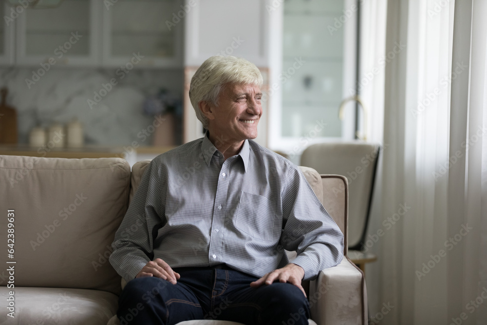 Cheerful dreamy older man looking at window away, smiling at good thoughts, laughing, dreaming, planning, thinking, sitting on couch at home, enjoying leisure at comfortable home Cheerful dreamy older man looking at window away, smiling at good thoughts, laughing, dreaming, planning, thinking, sitting on couch at home, enjoying leisure at comfortable home
