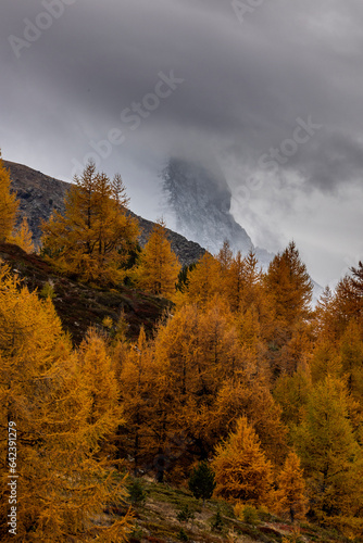 Colorful autumn tress in mountain with cloudy sky photo