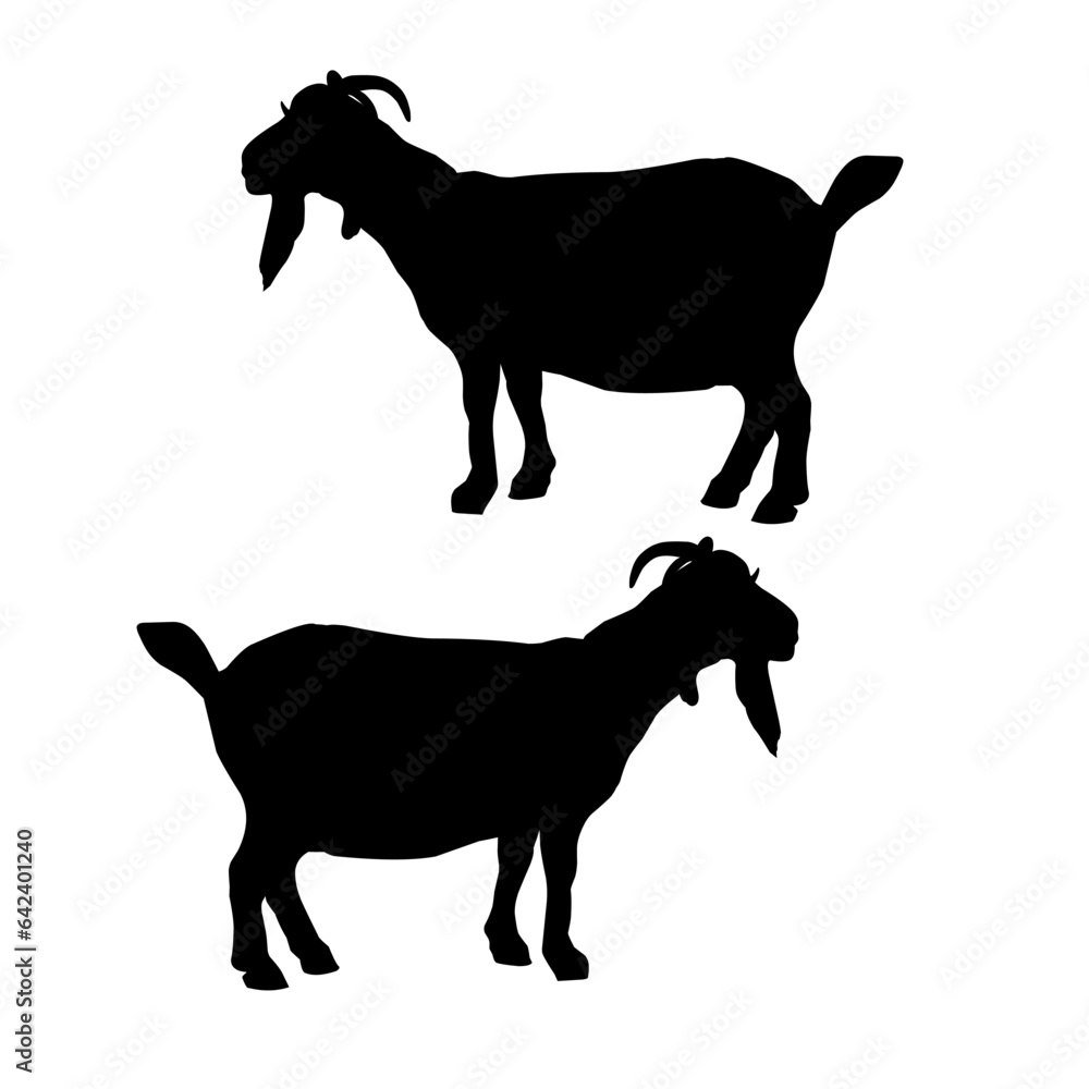 This is an illustration of a goat with a beard. black silhouette on white background.