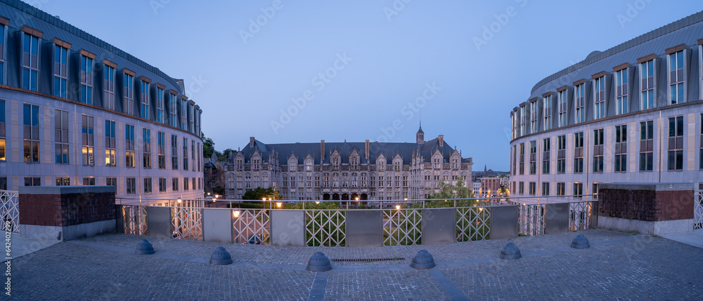 View of the Provincial Palace in Liege - Belgium