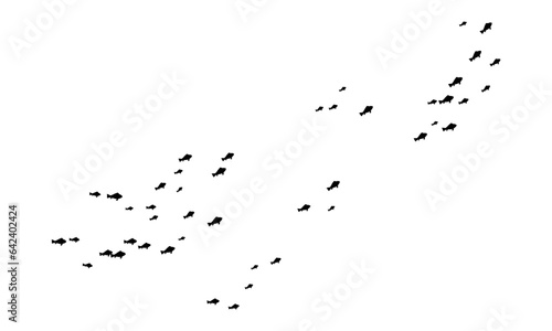 Vector silhouette of fish swimming on white background