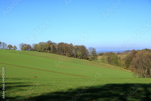 Autumn Landscape in Saxony, Germany