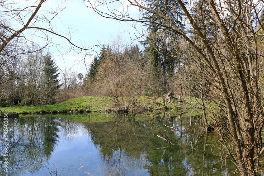 small lake in a wood with reflections