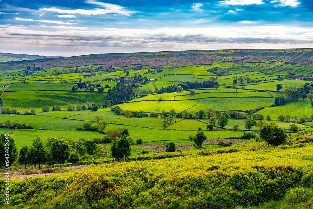 Great Britain Countryside