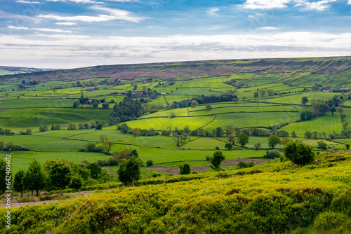 Great Britain Countryside and North East England Moors photo