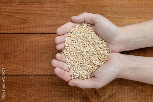 pearl barley in the hands of a wooden table