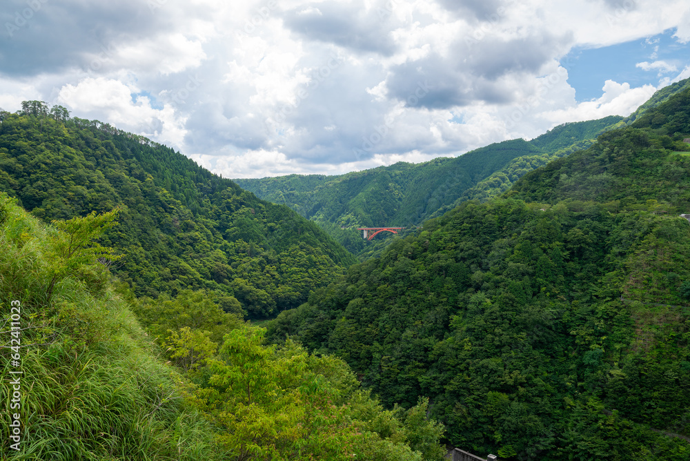 Fototapeta premium 夏の空と木々の生い茂る山