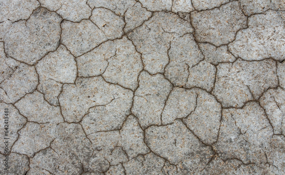 Dry cracked salty silt in the upper Kuyalnik estuary, Ukraine Dry cracked salty silt in the upper Kuyalnik estuary, Ukraine
