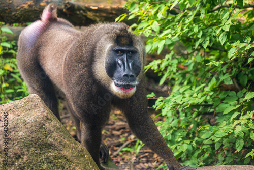 Photography Full body of male  drill