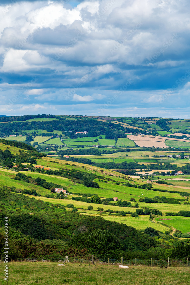 Fototapeta premium View across fields and hills from Ravenscar, Yorkshire