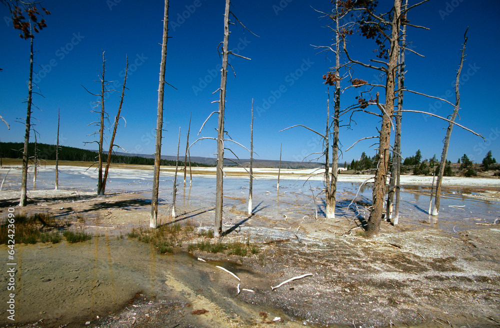 Geyser, Parc National du Yellowstone, U.S.A Geyser, Parc National du Yellowstone, U.S.A