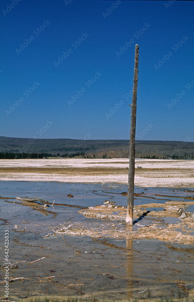 Geyser, Parc National du Yellowstone, U.S.A Geyser, Parc National du Yellowstone, U.S.A