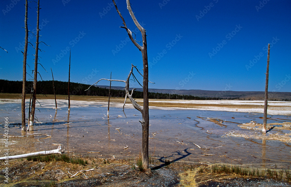 Geyser, Parc National du Yellowstone, U.S.A Geyser, Parc National du Yellowstone, U.S.A