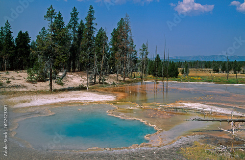 Geyser, Parc National du Yellowstone, U.S.A