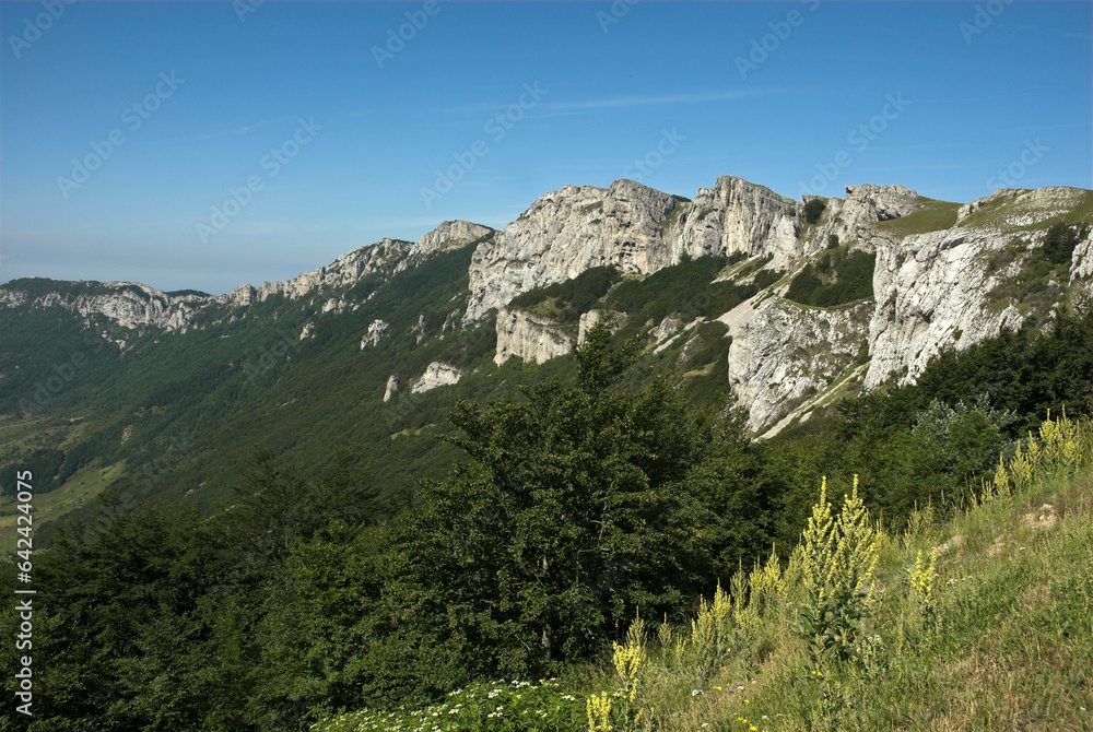 Parc naturel régional du Vercors , Col de la Bataille , 26, Drome, France