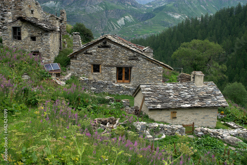 zone de protection de la nature, Bois de la Laye, Tignes, massif de la Vanoise, Haute Tarentaise, Savoie, 73, France