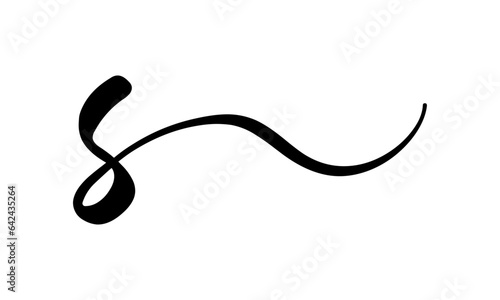 S Letter Logo with Elegant Black Lines Design. Minimalist art shape logo.